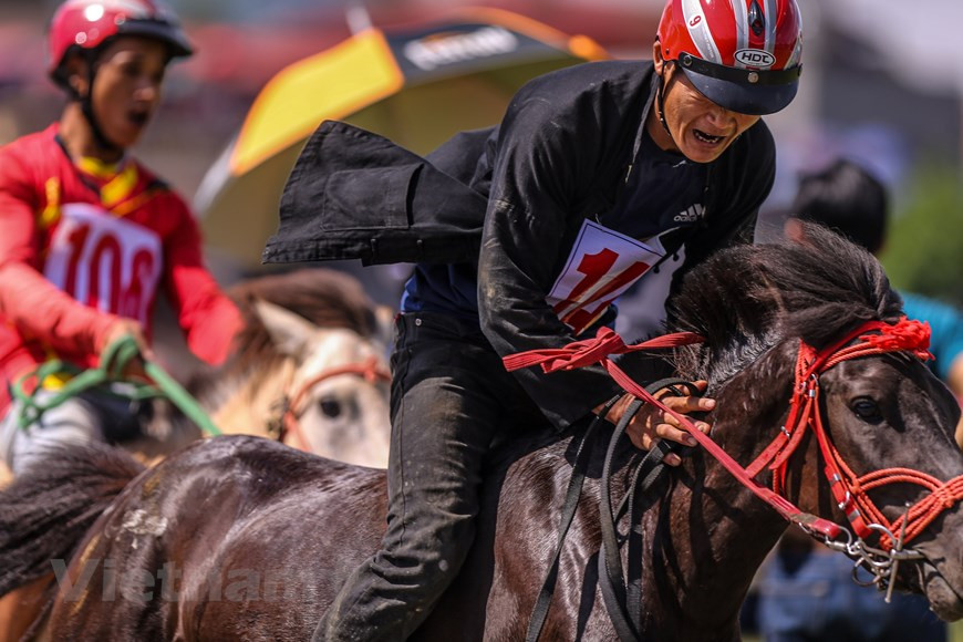 La joie d’un jockey quand son cheval est arrivé à la deuxième lors de la finale de la course hippique de Bac Ha. Une particularité de cette course c’est qu’il s’agit purement des chevaux de bât au lieu des chevaux de course. De même, les cavaliers qui sont tous des agriculteurs simples qui ne sont habitués qu’aux travaux champêtres au lieu de la participation aux compétitions sportives professionnelle. Pourtant, c’est exactement la simplicité de ces cavaliers-agriculteurs et la beauté de leurs chevaux de bât constituent des traits traditionnels originels de la course hippique de Bac Ha que n’importe quel visiteur vietnamien comme étranger peuvent résister une fois venu à Lao Cai. Photo: VietnamPlus