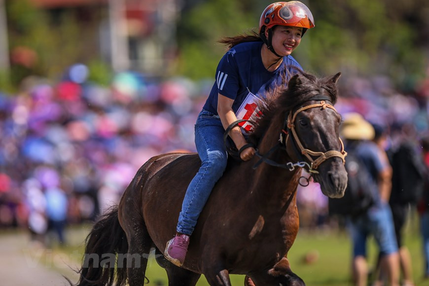 En particulier, cette année, pour la première fois, il y a une cavalière parmi les jockeys après 13 éditions d’organisation de la course hippique de Bac Ha depuis 2007. Avant cette date, cette pratique culturelle traditionnelle unique des groupes ethniques vivant dans la région du Nord-Ouest du pays a été abandonnée pendant près d’une trentaine d’année d’existance. La cavalière est Hoang Thi Tuyet, originaire du hameau Ta Ho, commune de Ta Chai, district de Bac Ha. Elle a choisi le plus beau et le plus fort cheval parmi de nombreuses bêtes élevées dans sa famille au service de la production agricole pour participer à cette course hippique. Photo: VietnamPlus