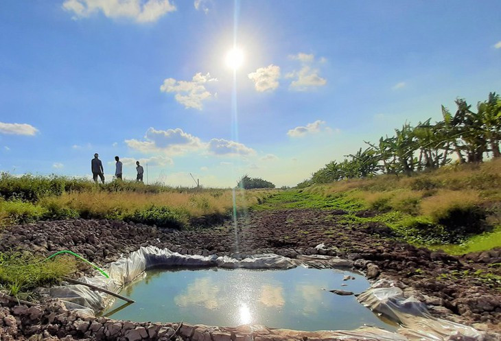 La sécheresse qui perdure a provoqué de lourdes pertes dans la province de Ca Mau. Une baisse record du niveau d’eau est constatée dans tous les canaux hydrauliques.