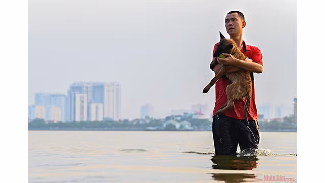 Ces jours d'été, le lac de l’Ouest est devenu la plus grande piscine naturelle de la capitale, attirant des personnes de tous âges.