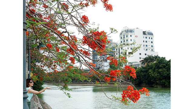 Chaque saison, quand les fleurs de flamboyants fleurissent, cet endroit devient une destination pour de nombreux habitants et touristes.