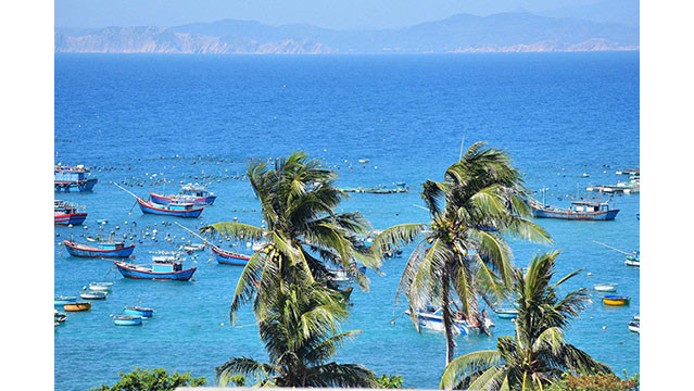 Le moment idéal pour se rendre sur l'île est entre mars et août.