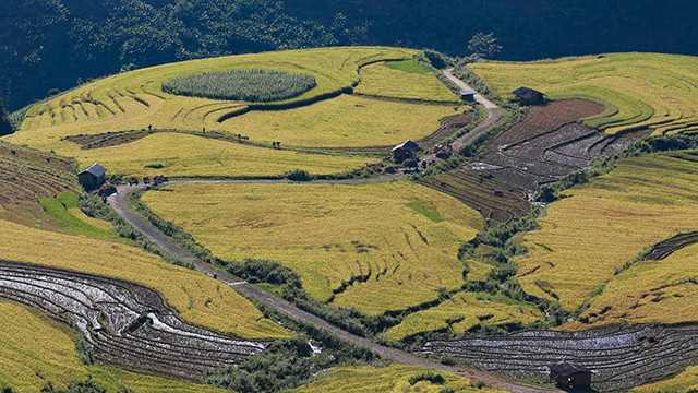 Les « cascades de riz » ondulent comme des vagues le long de la vallée, au pied de la montagne, rehaussant ainsi la beauté naturelle de A Lu.