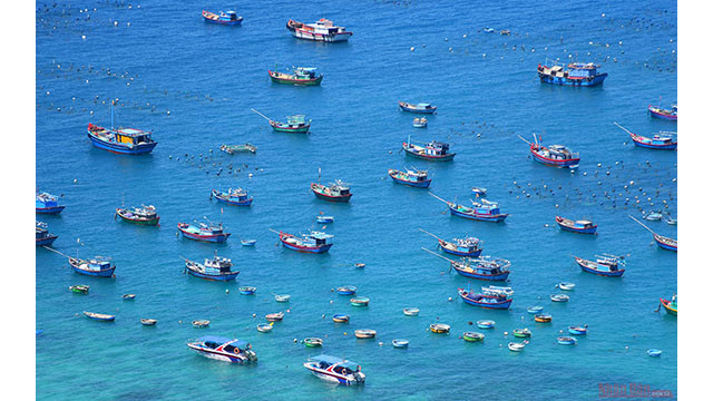 Depuis le phare, les visiteurs peuvent contempler l’ensemble de l'île de Cu Lao Xanh, du quartier résidentiel, du village de pêcheurs, de la tour du drapeau vietnamien et du terrain de roche de Thao Nguyên à ses paysages de bateaux animés.