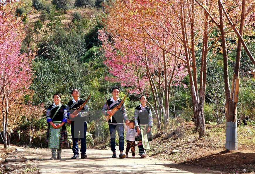 La teinte rosée peint le ciel de la zone montagneuse de Mu Cang Chai, attirant l'attention des habitants et des voyageurs (Photo: VNA)
