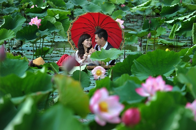 Un couple prend des photos avec des fleurs de lotus pour consacrer les souvenirs de leur amour.