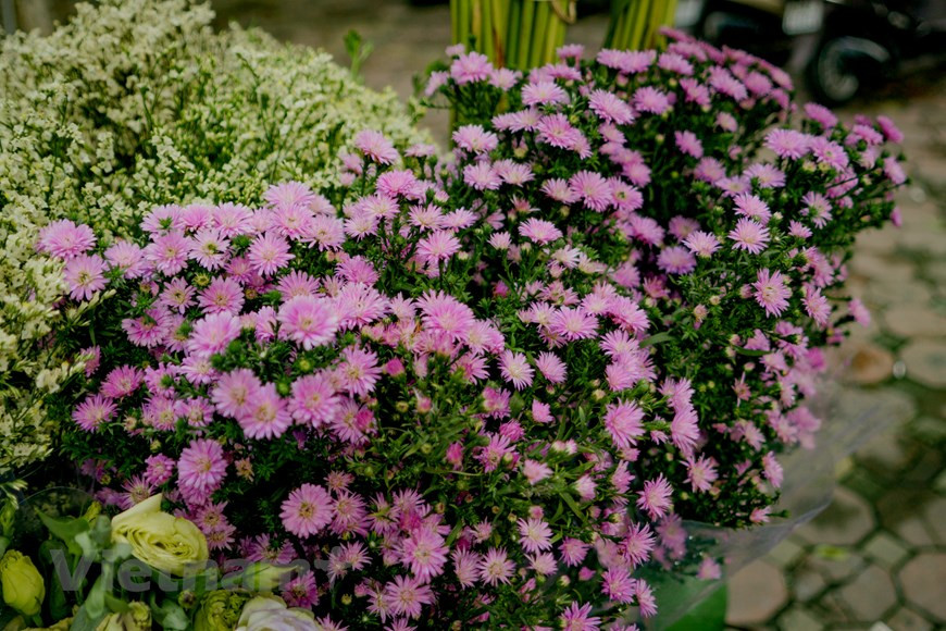 Hanoï se pare de son manteau automnal. Les rues se couvrent de feuilles dorées. 