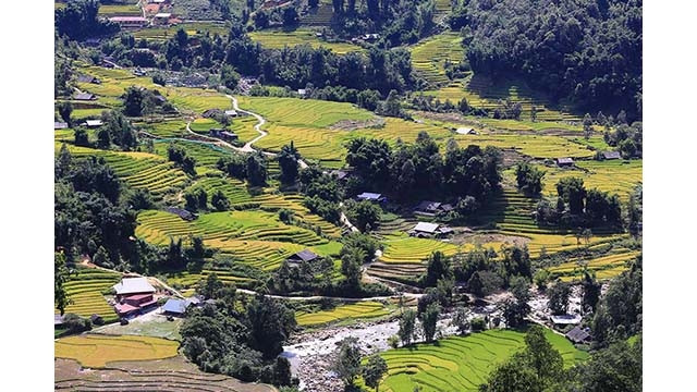 Située à environ 10 km du bourg de Sa Pa, près de la cascade Thac Bac vers la vallée de Muong Hoa, différente de l'agitation de Sapa, la vallée de Ta Van-Lao Chai (au Nord-Ouest du Vietnam) est un endroit paisible et doux pour les touristes qui aiment explorer la nature et la vie des habitants montagnards.