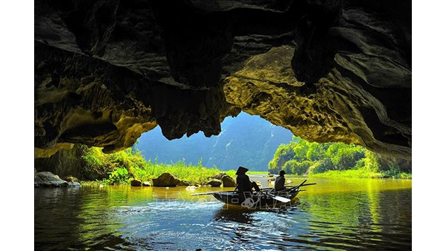 Au moment où le printemps se transforme en été, le site touristique de Tam Côc revêt à nouveau son manteau vert de rizières des deux côtés de la rivière, créant des paysages poétiques.