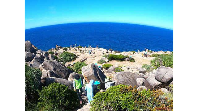 Il y a un immense récif rocheux appelé la « forêt rocheuse » de Thao Nguyên, l'une des nombreuses destinations attrayantes de l'île de Cu Lao Xanh.