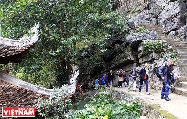 ituée au pied de la montagne, la pagode Ha a été construite sur un quai de pierre. Cet endroit est dédié au culte de Bouddha. Derrière la pagode, se trouve des stupas. 