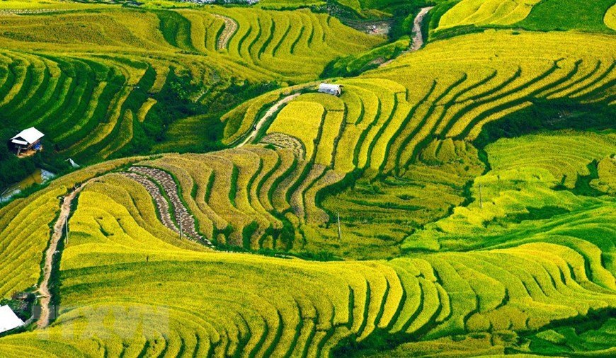 Chaque début de l’automne, le Mù Cang Chai est le rêve de beaucoup d'âmes qui aiment voyager, en raison du changement de la nature ici au milieu de la saison de riz. Photo: VNA