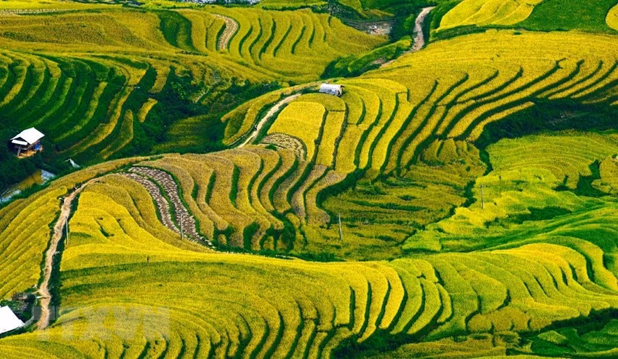 Chaque début de l’automne, le Mù Cang Chai est le rêve de beaucoup d'âmes qui aiment voyager, en raison du changement de la nature ici au milieu de la saison de riz. Photo: VNA 