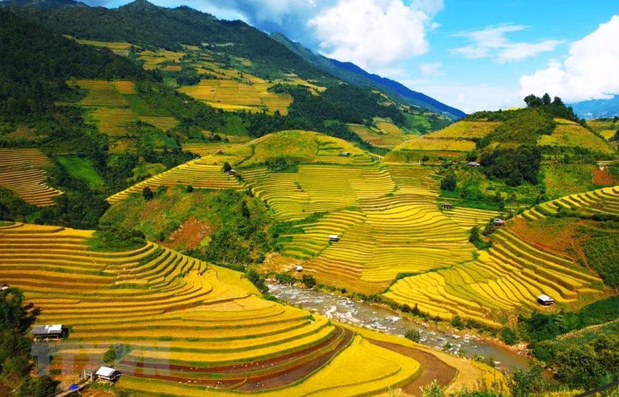 Quand le climat est plus doux, c'est également le changement de couleur à Mù Cang Chai. La couleur jaune du riz est étendue et mélangée au ciel et à la terre, transformant le cœur comme ivre, comme un rêve, comme à l'entrée du rêve. La couleur d'or qu'il a faite à tant d'étapes a fait un pas au-dessus du passage de courant pour rétrécir seulement la beauté de l'œil d'une manière dont satisfaisante et absorbée. Photo: VNA 