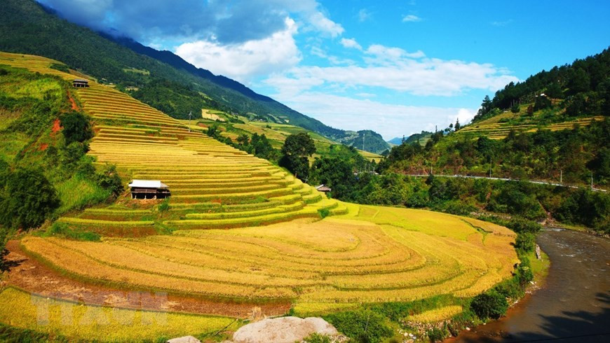 Pendant la saison du riz mur, chaque gisement en terrasse de riz à Mù Cang Chai porte une différente forme diverse et attrayante. Photo: VNA 