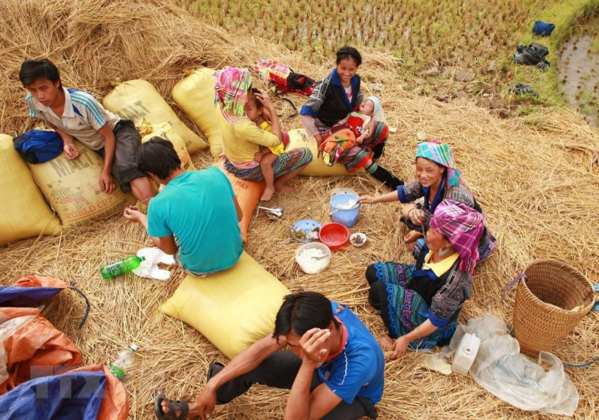 Les H'Mong déjeunent sur les champs. Photo: VNA