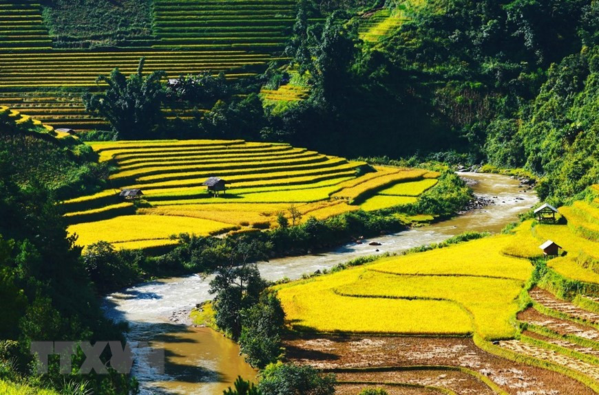 Si n'importe qui a été passionné pour reposer tout l’après-midi seulement pour vous raconter à la couleur jaune du riz mur, ne vous dépêchez pas dire qu’ils sont sentimentaux. En allant une fois à Mù Cang Chai, vous vous rendez compte qu'il n'y a aucune beauté verbale peut exprimer entièrement. La beauté du ciel et de la terre se sont mélangés avec la beauté du travail, créant les champs en terrasse fertiles complètement de la vitalité. Photo: VNA