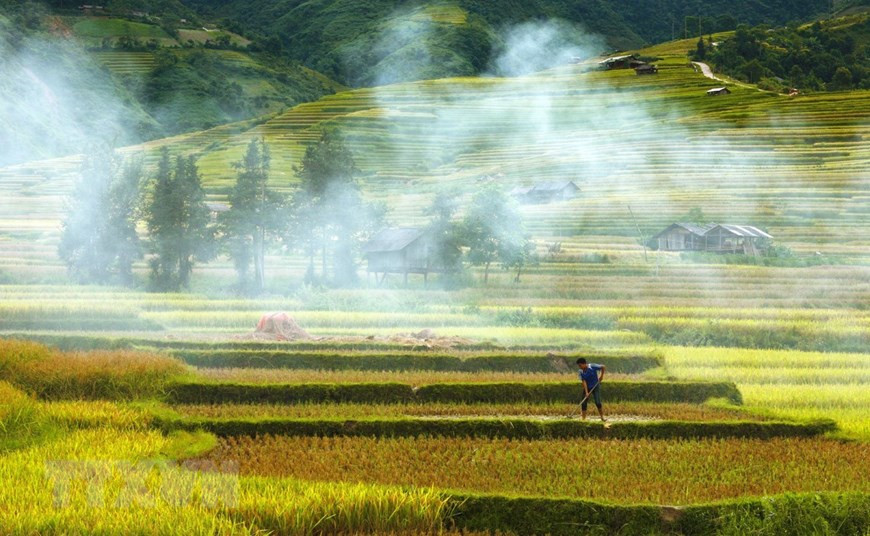 Les rizières en terrasse sont le résultat de l'adaptation des minorités ethniques aux conditions naturelles de leurs lieux de vie : les montagnes. Photo: VNA