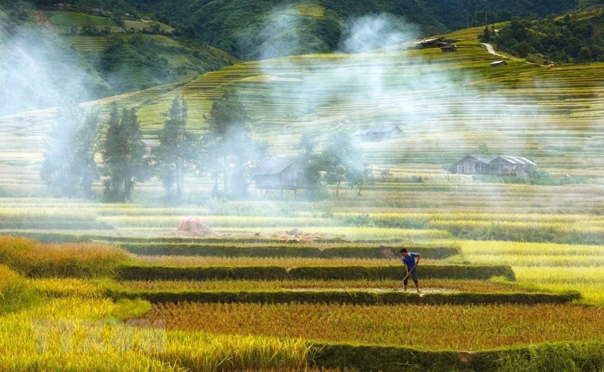 Les rizières en terrasse sont le résultat de l'adaptation des minorités ethniques aux conditions naturelles de leurs lieux de vie : les montagnes. Photo: VNA
