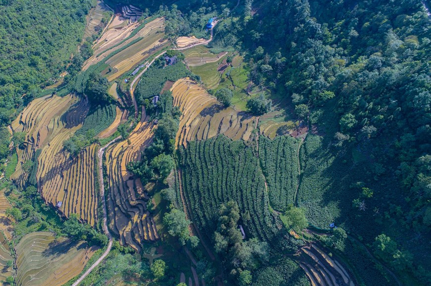 Le petit bourg de Bac Ha séduit les voyageurs non seulement par la beauté de ses paysages sculptés par la nature, mais aussi par son charme discret et authentique. C’est le lieu idéal pour une échappée le temps d’un week-end, entre montagnes verdoyantes, rizières à perte de vue, grottes, rivières et villages ethniques. Les rizières en terrasses de Bac Ha méritent néanmoins le détour, et constituent une étape paisible. Les paysages, comme dans l’ensemble de la région, sont spectaculaires et regorgent de splendides rizières. Des rizières en terrasses inondées d'eau créent de très beaux paysages pour prendre des photos. La saison du riz teint les champs en terrasses en couleur jaune. Photo: VietnamPlus