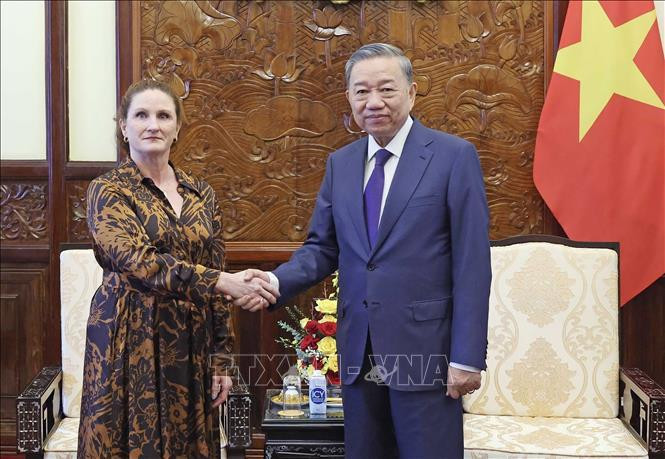Le président Tô Lâm serre la main de l’ambassadrice de Nouvelle-Zélande au Vietnam, Caroline Beresford, à Hanoi, le 4 juillet. Photo: VNA
