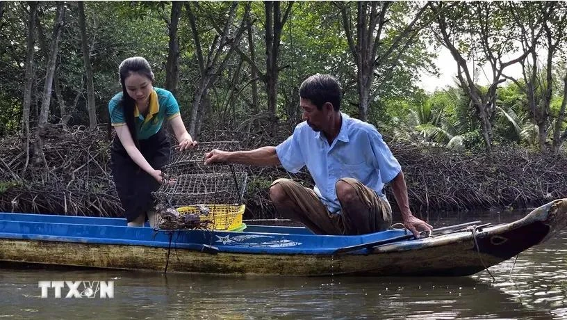 Une touriste fait l’expérience de la pose des casiers à crabes dans un élevage de crevettes dans le site touristique communautaire dans l’hameau de Côn Mui, commune de Dât Mui, district de Ngoc Hiên, province de Cà Mau. Photo: VNAau premier trimestre