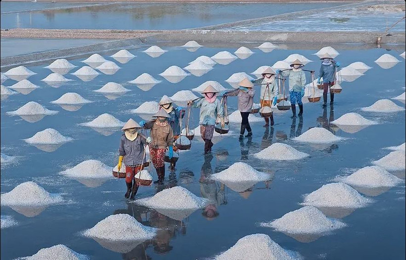 Les champs de sel de Sa Huynh, dans la province de Quang Ngai, sont les plus importants au Centre. Source : topquangngai.vn