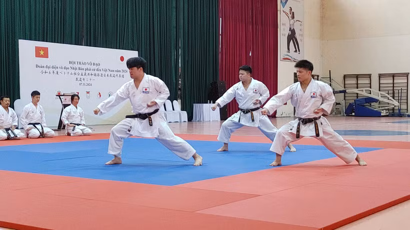 Karatedo est un des art-martiaux populaires à Hô Chi Minh-Ville. Photo: CVN