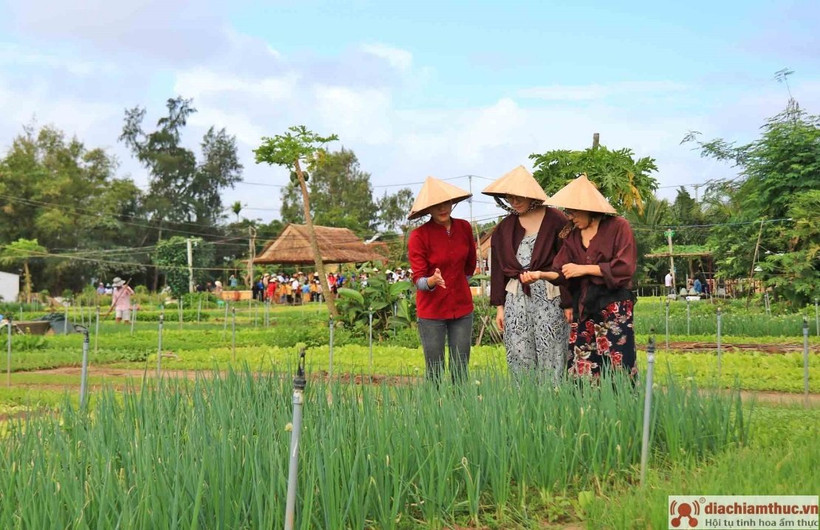 Le village de Trà Quê élu l'un des meilleurs villages touristiques du monde 