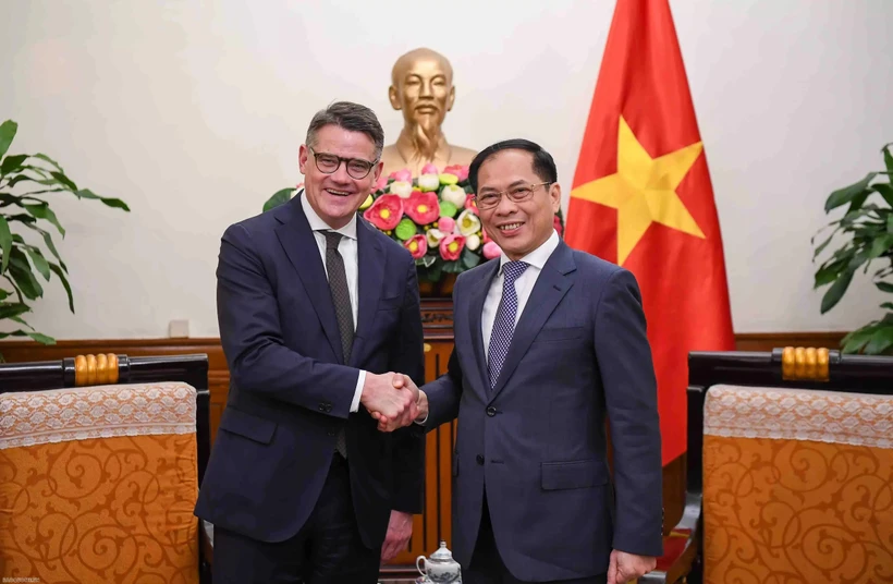 Le vice-Premier ministre et ministre des Affaires étrangères Bui Thanh Son (à droite) serre la main du ministre-président du Land de Hesse Boris Rhein, à Hanoi, le 28 novembre. Photo : VNA