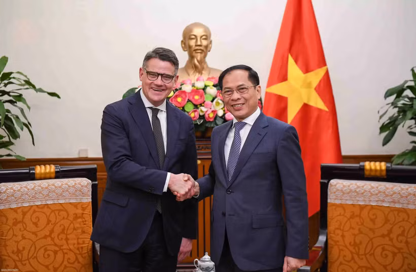 Le vice-Premier ministre et ministre des Affaires étrangères Bui Thanh Son (à droite) serre la main du ministre-président du Land de Hesse Boris Rhein, à Hanoi, le 28 novembre. Photo : VNA