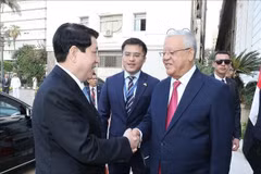 Le président Luong Cuong (gauche) et le président de la Chambre des représentants égyptienne, Hanafy El Gebaly. Photo: VNA