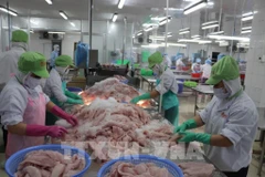 La transformation des produits aquatiques génère une importante source de sous-produits. Photo d’illustration : VNA