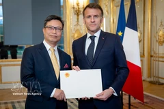 L’ambassadeur du Vietnam en France, Trinh Duc Hai, présente ses lettres de créance au président Emmanuel Macron. Photo: VNA