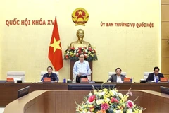 Tran Thanh Man, secrétaire du Comité du Parti de l’Assemblée nationale et président de l’Assemblée nationale, s'exprime lors de la réunion. Photo: VNA