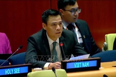 L’ambassadeur Dang Hoang Giang, chef de la Mission permanente du Vietnam auprès de l’ONU. Photo: VNA