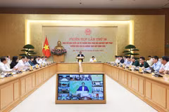 Le Premier ministre Pham Minh Chinh prend la parole lors de la réunion. Photo: VNA
