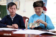 Les ménages pauvres bénéficient de prêts préférentiels pour le développement économique. Photo: VNA