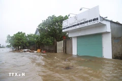 Inondation dans la commune de Dien Chau (province de Nghê An). Photo: VNA