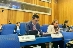 L’ambassadeur Vu Le Thai Hoang lors de la 64ᵉ session du Sous-comité juridique du Comité des utilisations pacifiques de l’espace extra-atmosphérique (CUPEEA). Photo: baoquocte.vn