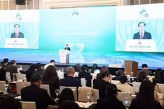 Le vice-Premier ministre et ministre des Affaires étrangères Bui Thanh Son prononce le discours de clôture. Photo : VNA