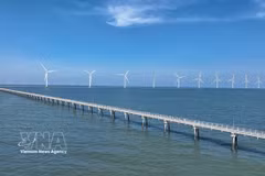 Parcs éoliens de Hoa Binh 1 et 2, province de Ca Mau. Photo : VNA
