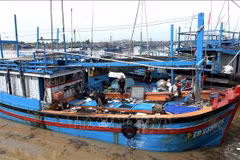 Des pêcheurs du port de Dong Tac (quartier de Phu Yen, province de Dak Lak) se préparent à prendre la mer. Photo : VNA