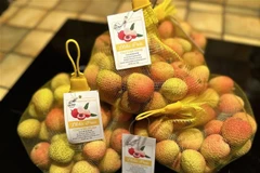 Le 2 juin, les premiers litchis frais de la saison 2025 en provenance du Vietnam sont officiellement arrivés sur le marché français. Photo: VNA
