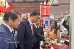 L’ambassadeur du Vietnam au Japon, Pham Quang Hieu, visite un stand présentant des fruits vietnamiens. Photo : VNA