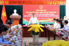 Le vice-Premier ministre Bui Thanh Son s'exprime lors de la réunion. Photo: VNA