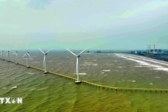 Éoliennes du parc éolien de République de Corée-Tra Vinh. Photo : VNA