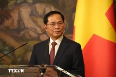 Le vice-Premier ministre Bui Thanh Son. Photo: VNA