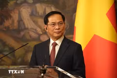 Le vice-Premier ministre Bui Thanh Son. Photo: VNA