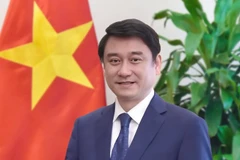 Le vice-ministre des Affaires étrangères, Le Anh Tuan. Photo: ministère des Affaires étrangères
